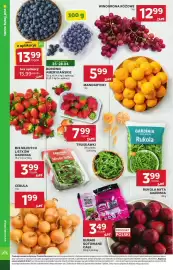 Stokrotka Market gazetka tydzień 17 Strona 10