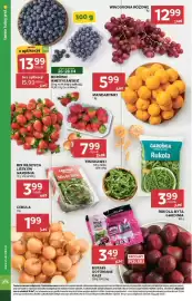 Stokrotka Market gazetka tydzień 17 Strona 14