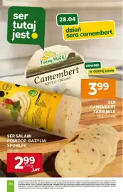 Stokrotka Market gazetka tydzień 17 Strona 26