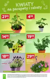 Stokrotka Market gazetka tydzień 17 Strona 39