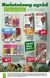 Stokrotka Market gazetka tydzień 17 Strona 44