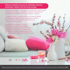 Stokrotka gazetka Strona 11