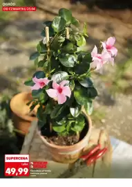 Kaufland gazetka tydzień 17 Strona 10