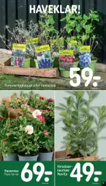 REMA 1000 tilbudsavis uge 18 Side 19