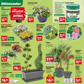 Thomas Philipps Prospekt woche 18 Seite 2