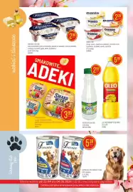 Pokusa gazetka Strona 6