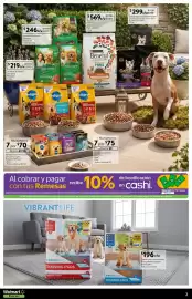 Catálogo Walmart Express Página 2