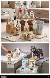 Catálogo Walmart Express Página 3