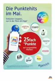 Dm Flugblatt Seite 8