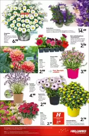 Hellweg Prospekt woche 17 Seite 19