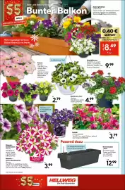 Hellweg Prospekt woche 17 Seite 20