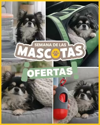 Ferniplast (válido hasta 30-04)