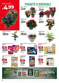 Volantino Bennet Pagina 28