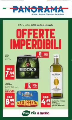 Volantino Panorama