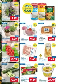 T&G Flugblatt Seite 2