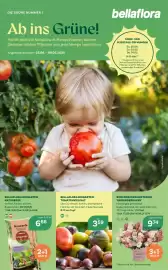 Bellaflora Flugblatt Seite 1