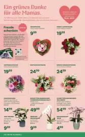 Bellaflora Flugblatt Seite 10