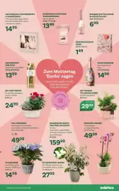 Bellaflora Flugblatt Seite 11