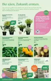 Bellaflora Flugblatt Seite 2