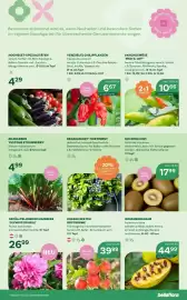 Bellaflora Flugblatt Seite 3