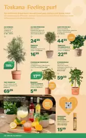 Bellaflora Flugblatt Seite 4