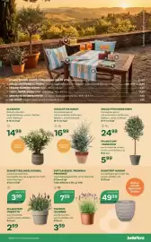 Bellaflora Flugblatt Seite 5