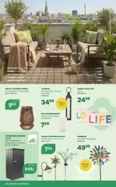 Bellaflora Flugblatt Seite 8