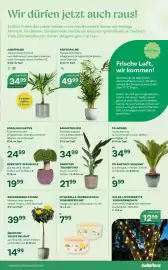 Bellaflora Flugblatt Seite 9