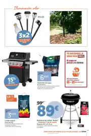 Catálogo Jardiland Página 13