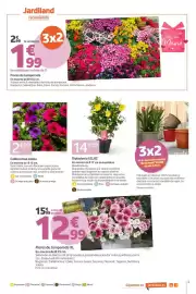 Catálogo Jardiland Página 3