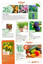 Catálogo Jardiland Página 9