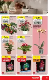 Auchan akciós újság hét 17 Oldal 31
