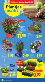 Lidl folder week 18 Pagina 26