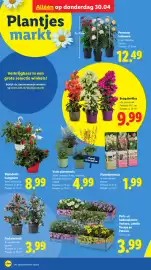 Lidl folder week 18 Pagina 28