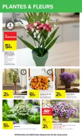 Catalogue Carrefour page 49
