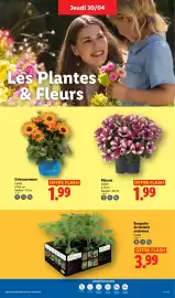 Catalogue Lidl semaine 18 page 25