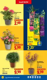 Catalogue Lidl semaine 18 page 26