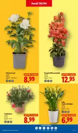 Catalogue Lidl semaine 18 page 27