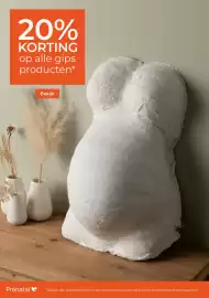 Prenatal folder Pagina 5