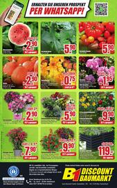 B1 Discount Baumarkt Prospekt woche 17 Seite 10
