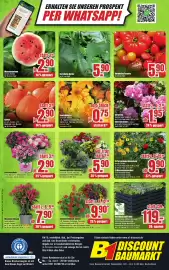 B1 Discount Baumarkt Prospekt woche 17 Seite 10