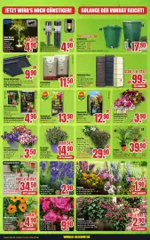 B1 Discount Baumarkt Prospekt woche 17 Seite 5