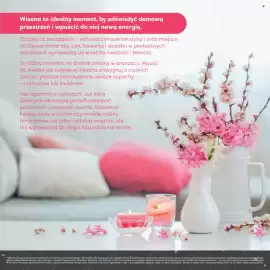 Stokrotka Market gazetka Strona 11