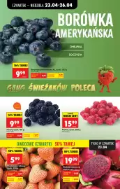 Biedronka gazetka tydzień 17 Strona 38