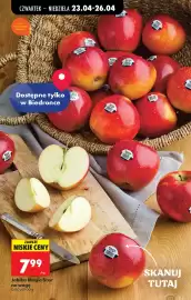 Biedronka gazetka tydzień 17 Strona 40