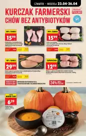 Biedronka gazetka tydzień 17 Strona 45