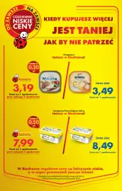 Biedronka gazetka tydzień 17 Strona 6