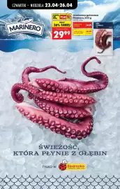 Biedronka gazetka tydzień 17 Strona 60