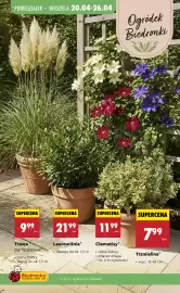 Biedronka gazetka tydzień 17 Strona 91