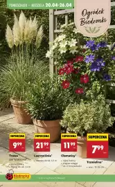 Biedronka gazetka tydzień 17 Strona 91